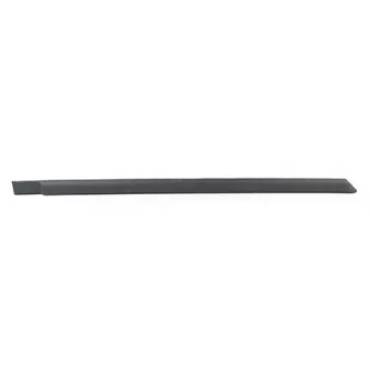 Baguette et bande protectrice, porte arrière droit BSG BSG 65-925-037