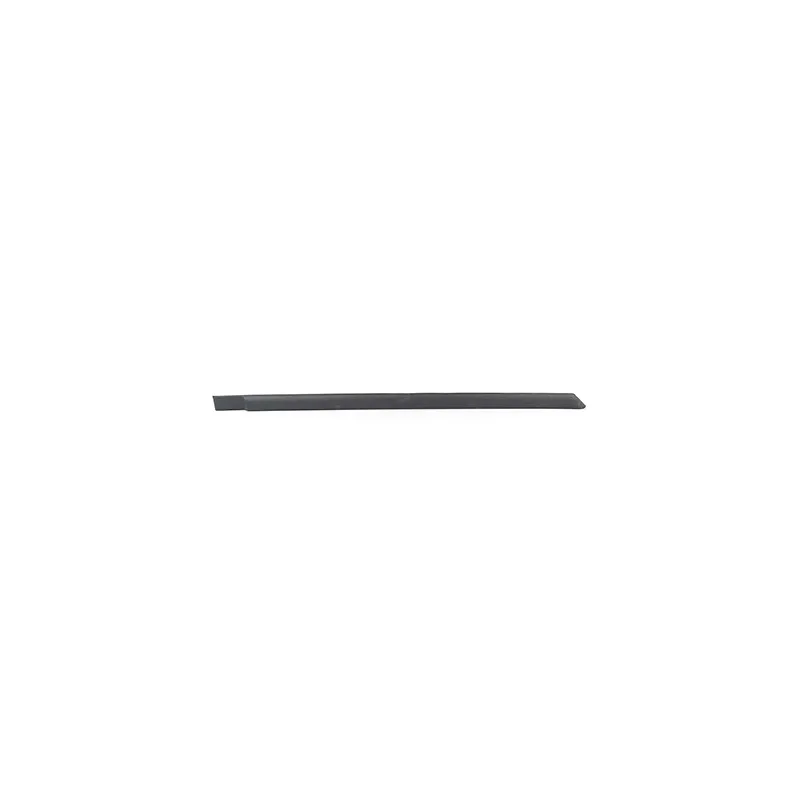 Baguette et bande protectrice, porte arrière droit BSG BSG 65-925-037