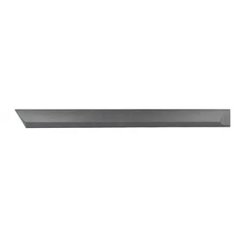 Baguette et bande protectrice, porte arrière droit BSG BSG 65-925-039