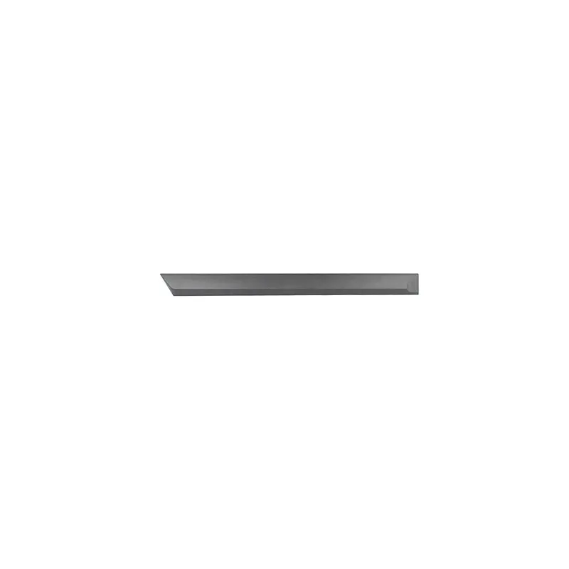 Baguette et bande protectrice, porte arrière droit BSG BSG 65-925-039