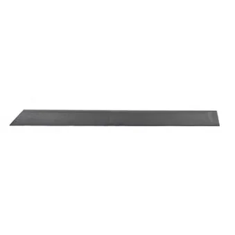 Baguette et bande protectrice, porte arrière gauche BSG BSG 65-925-040