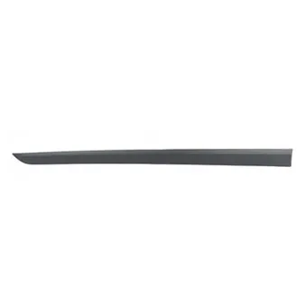 Baguette et bande protectrice, porte avant droit BSG BSG 65-925-041