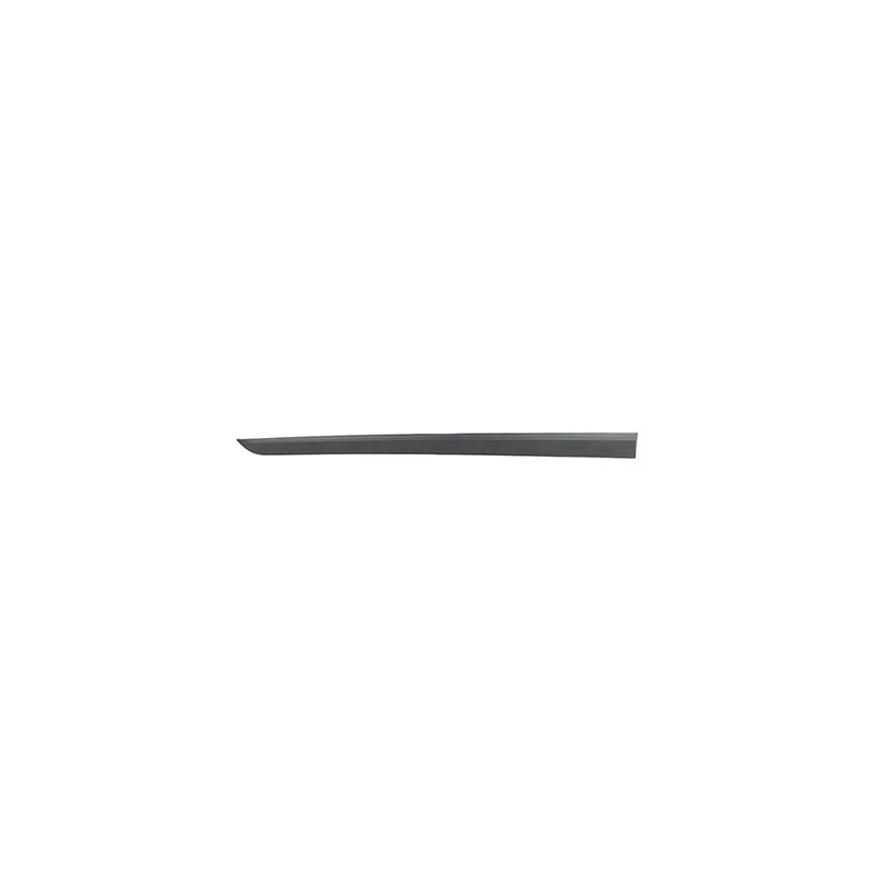 Baguette et bande protectrice, porte avant droit BSG BSG 65-925-041