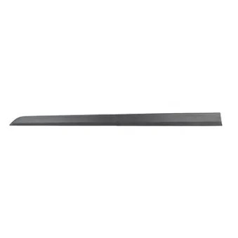 Baguette et bande protectrice, porte avant gauche BSG BSG 65-925-042