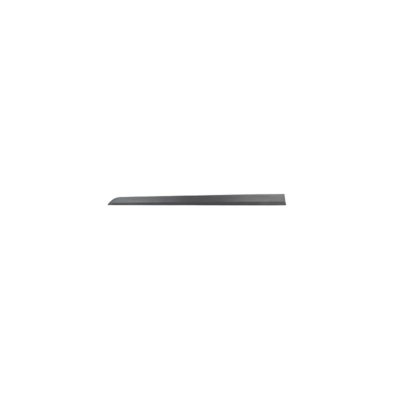 Baguette et bande protectrice, porte avant gauche BSG BSG 65-925-042