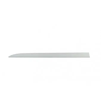 Baguette et bande protectrice, porte avant droit BSG BSG 65-925-046
