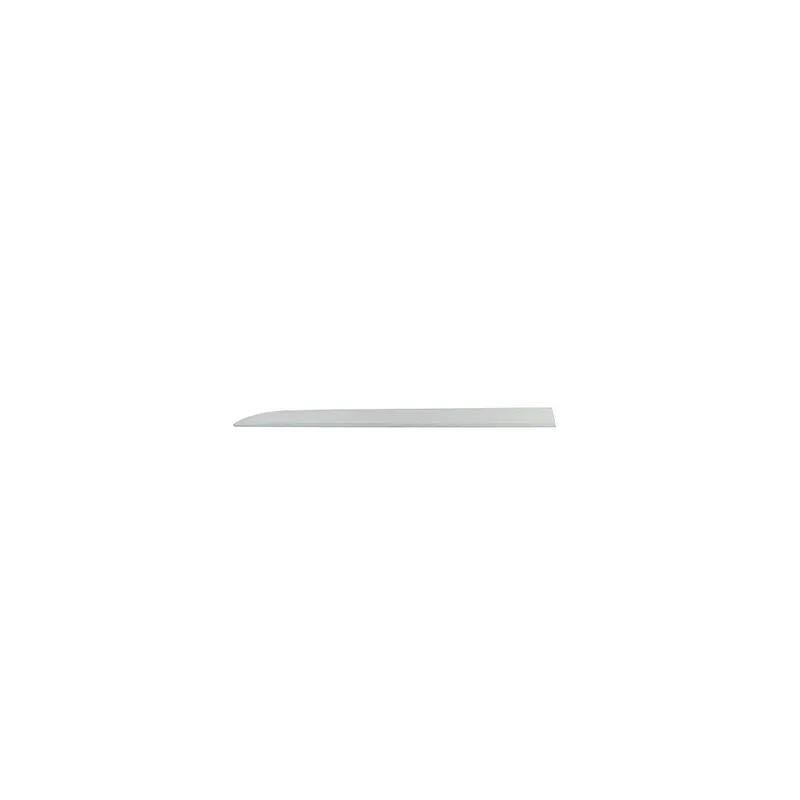 Baguette et bande protectrice, porte avant droit BSG BSG 65-925-046