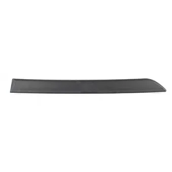 Baguette et bande protectrice, porte arrière droit BSG BSG 65-925-047