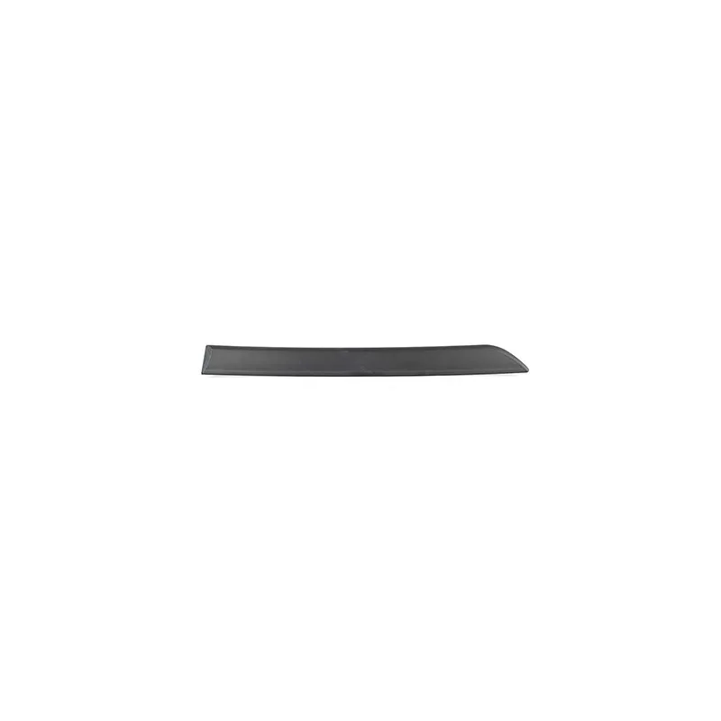 Baguette et bande protectrice, porte arrière droit BSG BSG 65-925-047