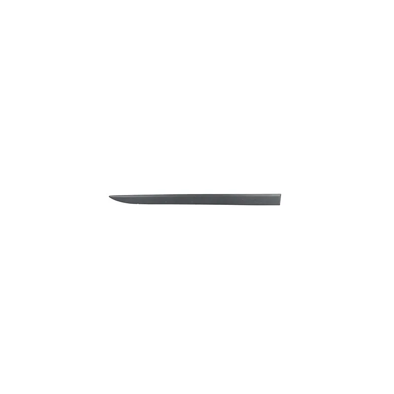 Baguette et bande protectrice, porte avant droit BSG BSG 65-925-049