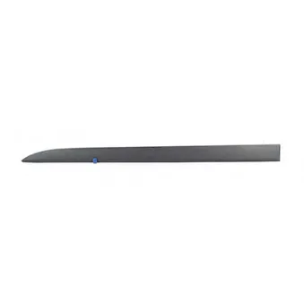 Baguette et bande protectrice, porte avant gauche BSG BSG 65-925-050