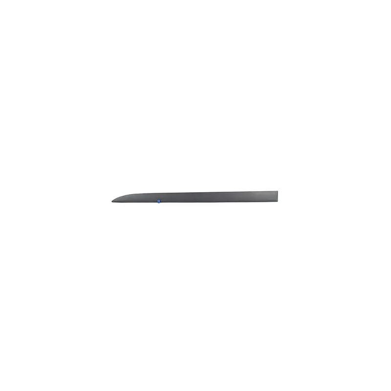 Baguette et bande protectrice, porte avant gauche BSG BSG 65-925-050