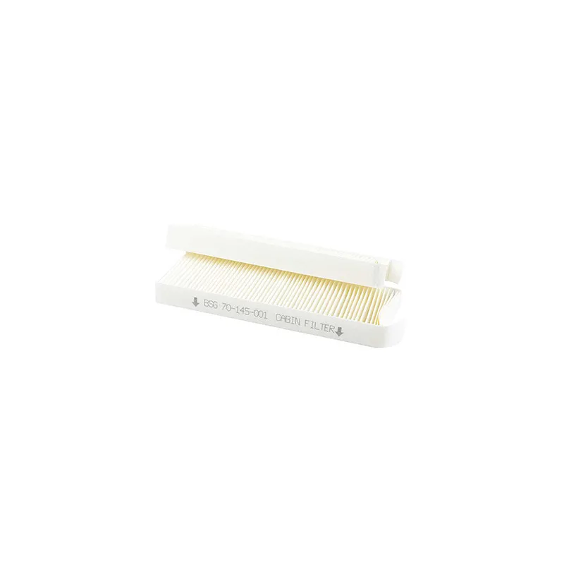 Filtre, air de l'habitacle BSG BSG 70-145-001