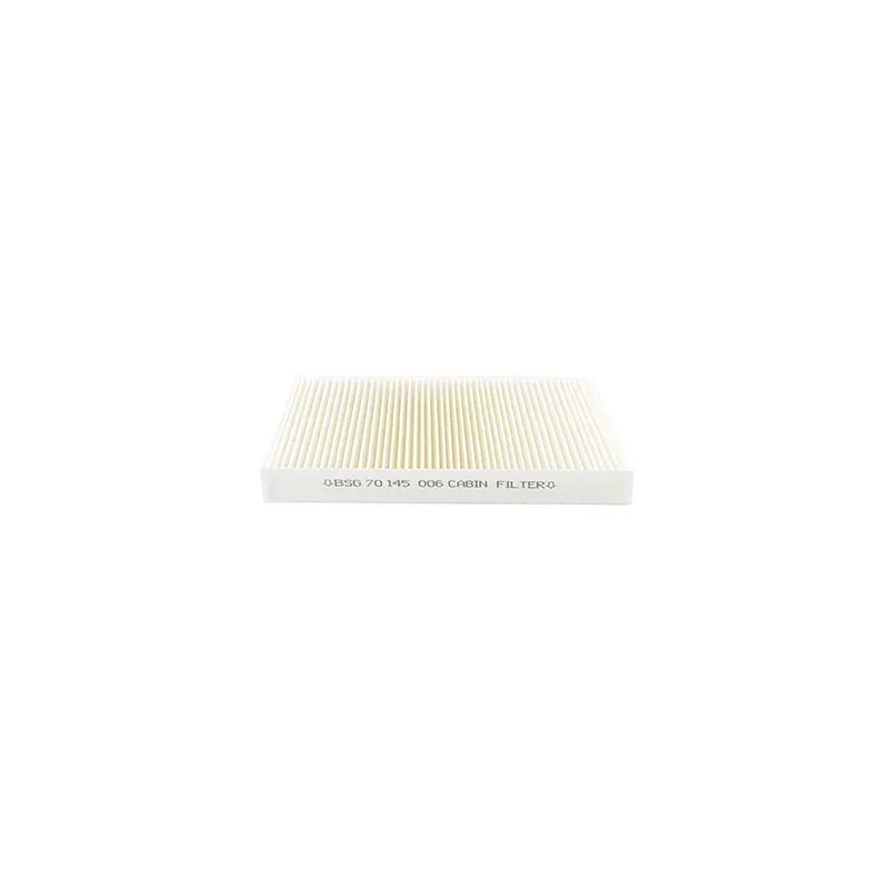 Filtre, air de l'habitacle BSG BSG 70-145-003