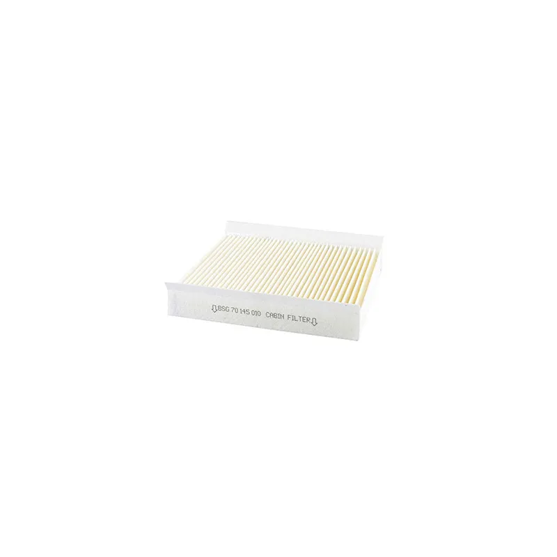 Filtre, air de l'habitacle BSG BSG 70-145-010