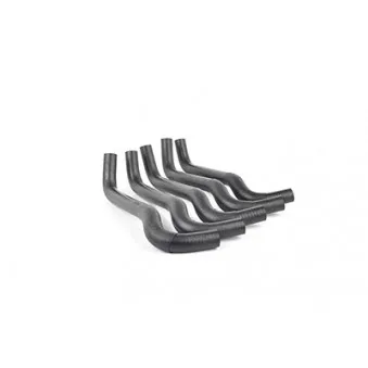 Durite de radiateur BSG BSG 70-720-035