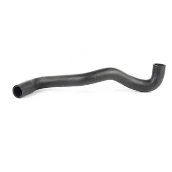 Durite de radiateur BSG BSG 70-720-058