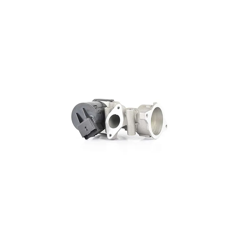 Vanne EGR BSG BSG 70-836-003