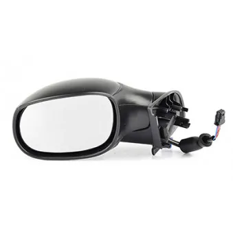 Rétroviseur extérieur BSG BSG 70-900-016