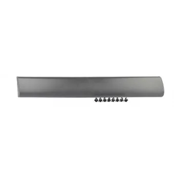 Baguette et bande protectrice, porte arrière droit BSG BSG 70-924-003