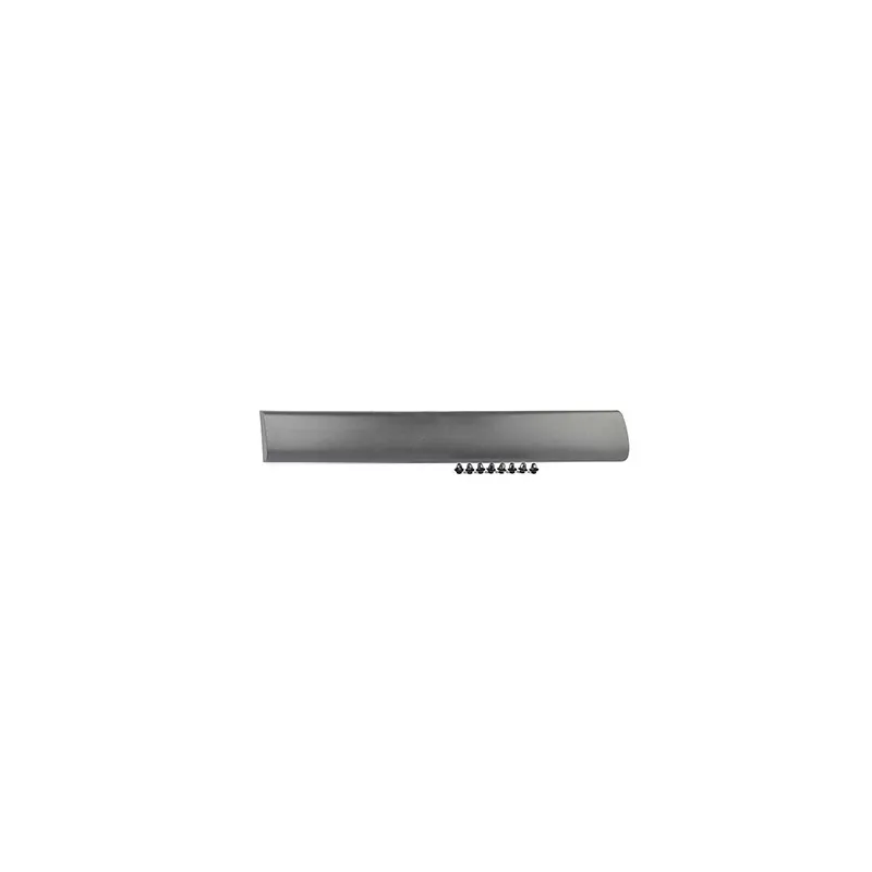 Baguette et bande protectrice, porte arrière droit BSG BSG 70-924-003