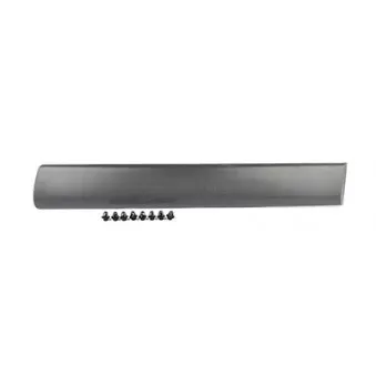 Baguette et bande protectrice, porte arrière gauche BSG BSG 70-924-004