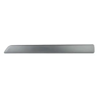 Baguette et bande protectrice, porte avant droit BSG BSG 70-924-005