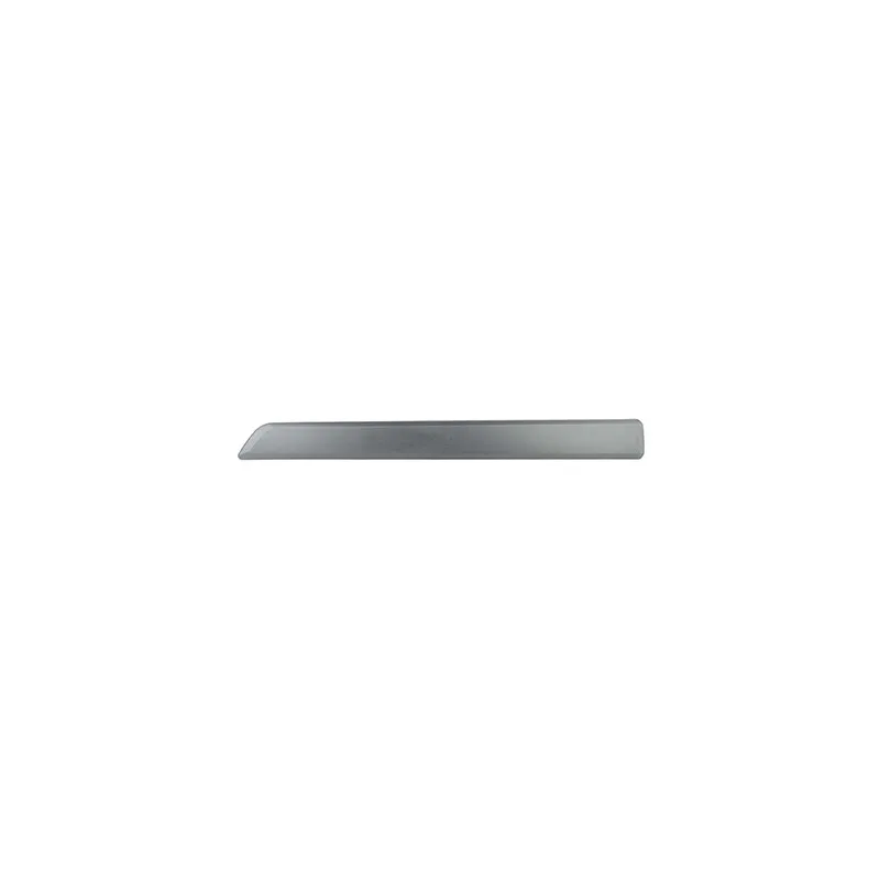 Baguette et bande protectrice, porte avant droit BSG BSG 70-924-005