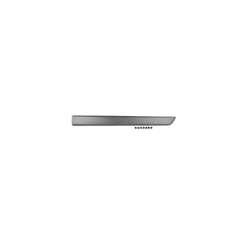 Baguette et bande protectrice, porte avant gauche BSG BSG 70-924-006