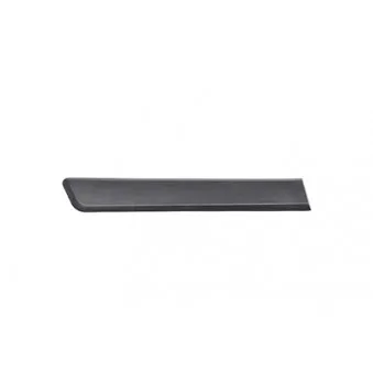 Baguette et bande protectrice, porte arrière droit BSG BSG 70-924-007