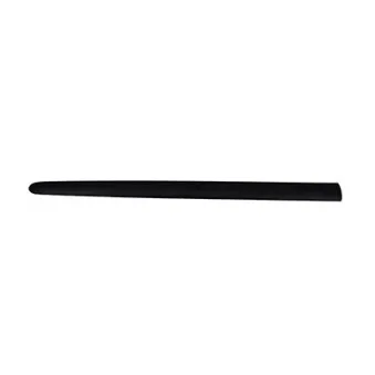 Baguette et bande protectrice, porte avant droit BSG BSG 70-924-009