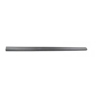 Baguette et bande protectrice, porte avant gauche BSG BSG 70-924-014