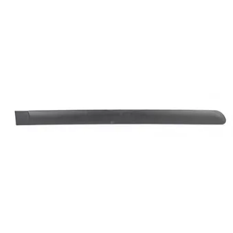 Baguette et bande protectrice, porte arrière droit BSG BSG 70-924-015