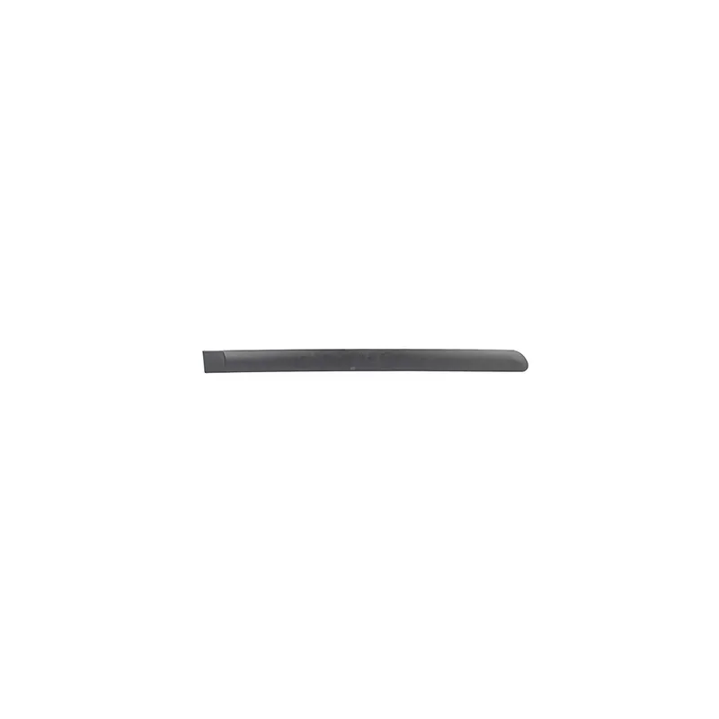Baguette et bande protectrice, porte arrière droit BSG BSG 70-924-015