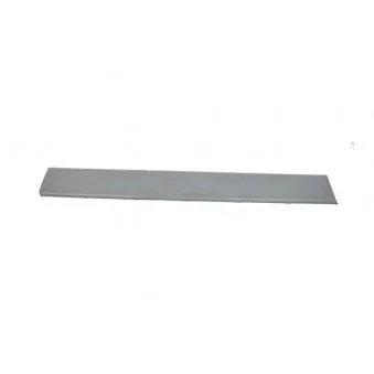 Baguette et bande protectrice, panneau latérale BSG BSG 70-975-037
