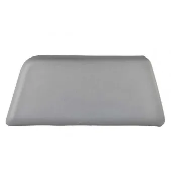 Baguette et bande protectrice, porte avant gauche BSG BSG 70-975-038