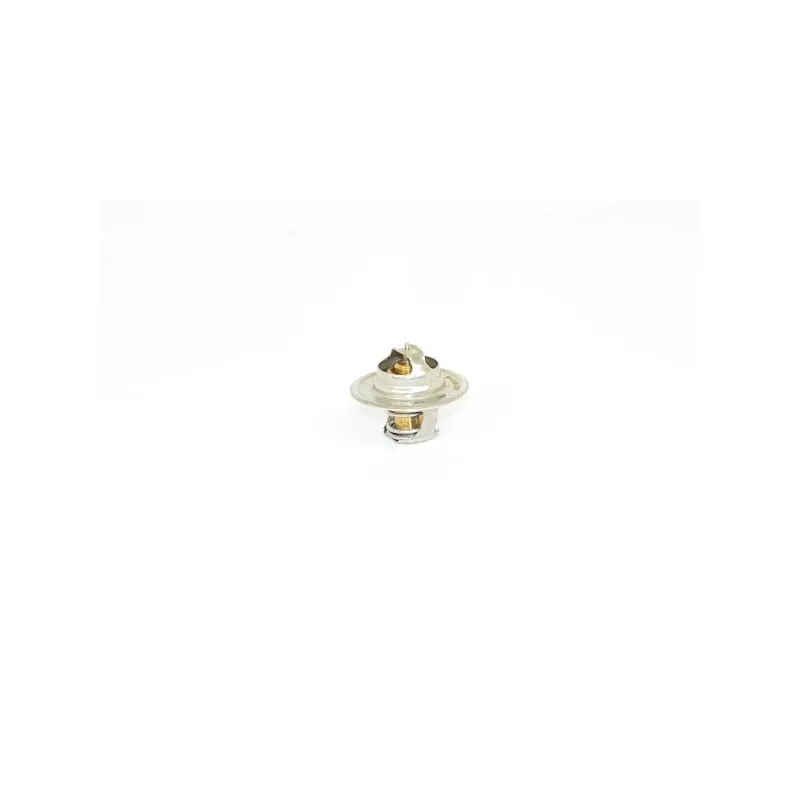 Thermostat d'eau BSG BSG 90-125-001