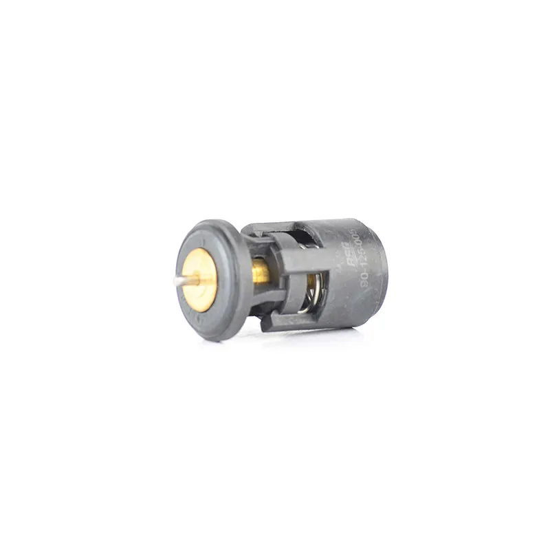 Thermostat d'eau BSG BSG 90-125-005