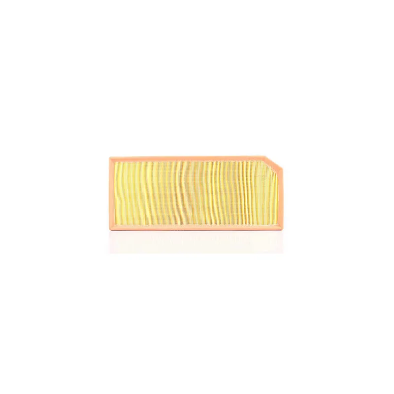 Filtre à air BSG BSG 90-135-015