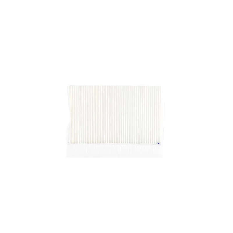Filtre, air de l'habitacle BSG BSG 90-145-006