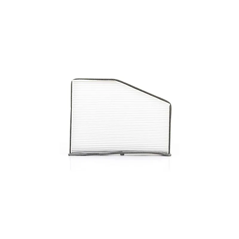 Filtre, air de l'habitacle BSG BSG 90-145-008