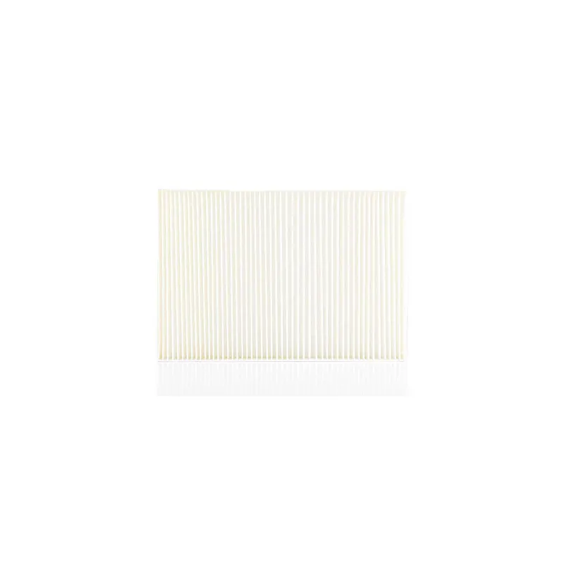 Filtre, air de l'habitacle BSG BSG 90-145-009