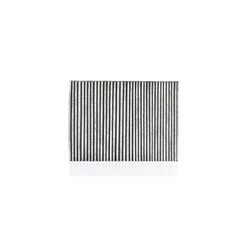 Filtre, air de l'habitacle BSG BSG 90-145-011