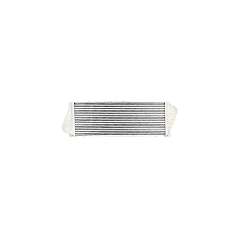 Intercooler, échangeur BSG BSG 90-535-001