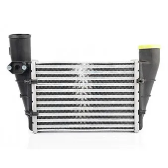 Intercooler, échangeur BSG BSG 90-535-002