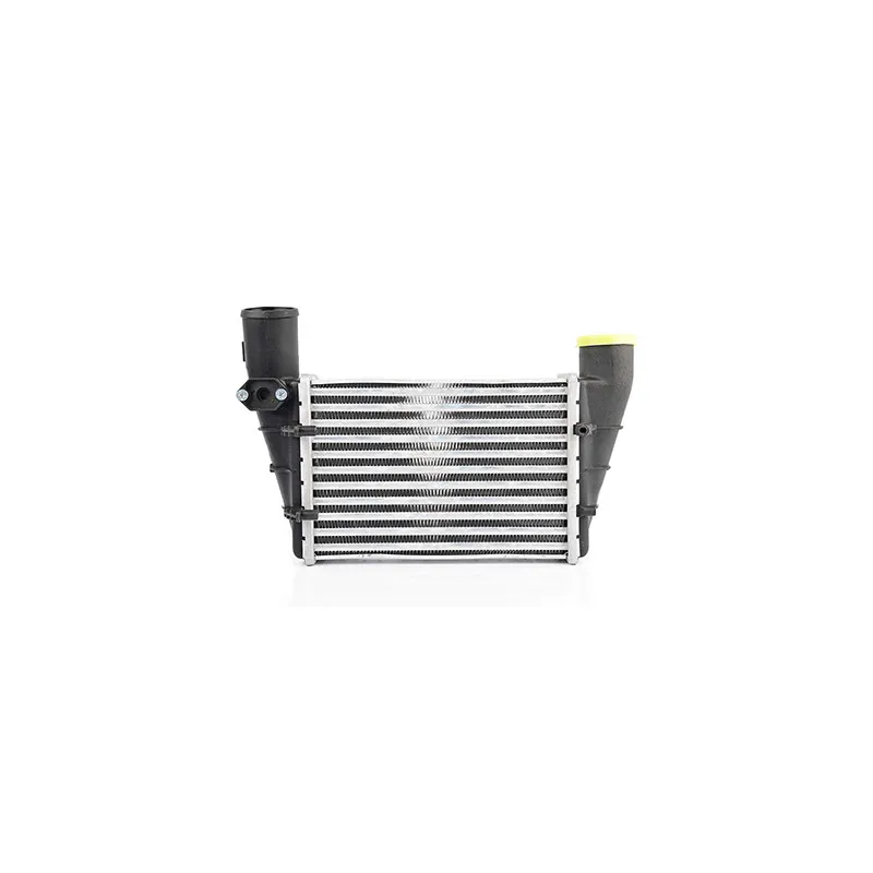 Intercooler, échangeur BSG BSG 90-535-002
