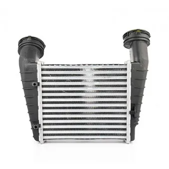 Intercooler, échangeur BSG BSG 90-535-003