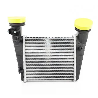 Intercooler, échangeur BSG BSG 90-535-004