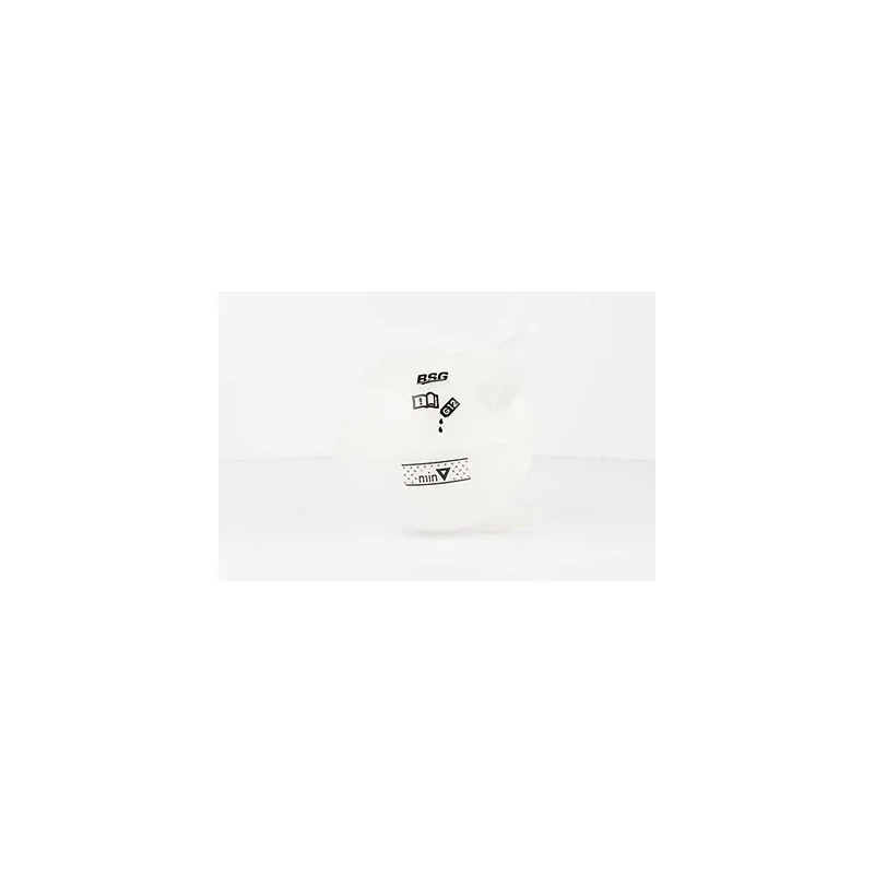 Vase d'expansion, liquide de refroidissement BSG BSG 90-550-001