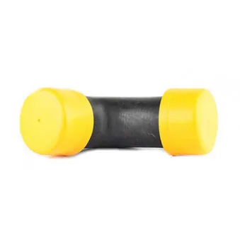 Gaine de suralimentation BSG BSG 90-720-009